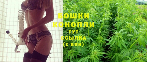 шишки Куйбышев