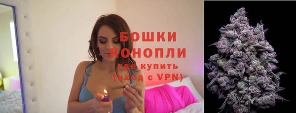 шишки Куйбышев