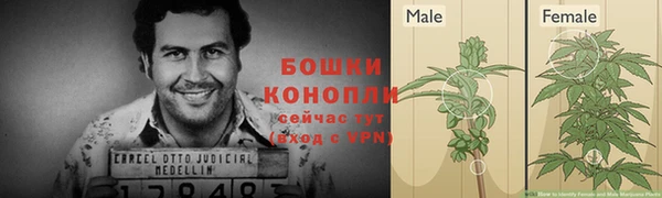 шишки Куйбышев