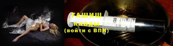 индика Чердынь