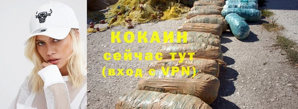 шишки Куйбышев