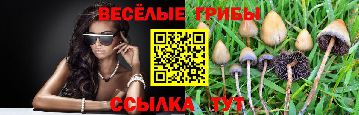 Псилоцибиновые грибы MAGIC MUSHROOMS  Псилоцибиновые грибы прущие грибы  Вход с VPN  Кемерово 