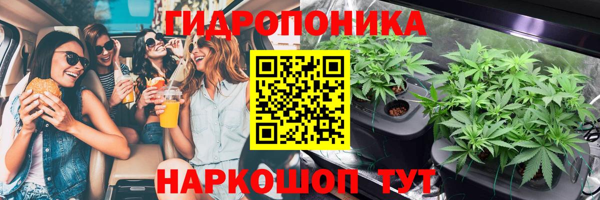 Шишки марихуана конопля  Марихуана план  Кемерово  Вход с VPN  Каннабис SATIVA & INDICA 